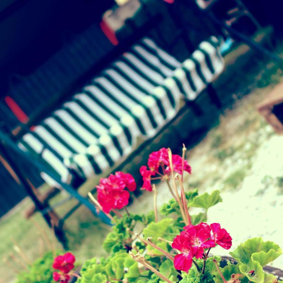 B&B Red House Garlate Buitenkant foto